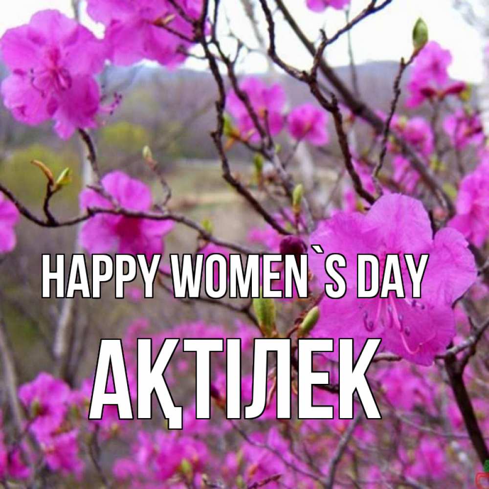 Greetings card с именем, Ақтілек happy women`s day международный женский день Greetings with text for free download 